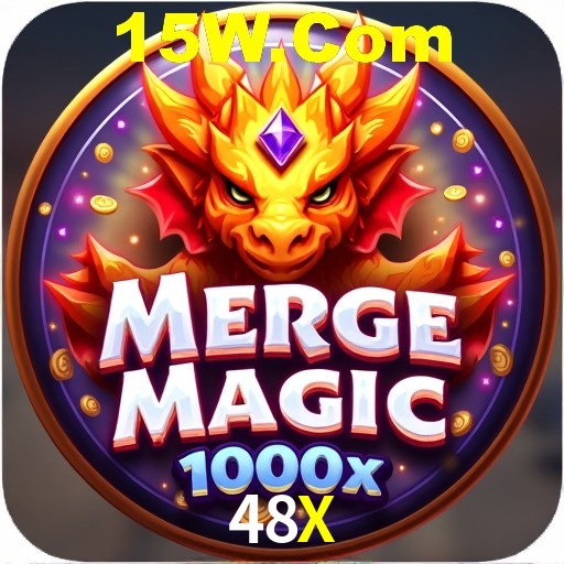 Login Interface